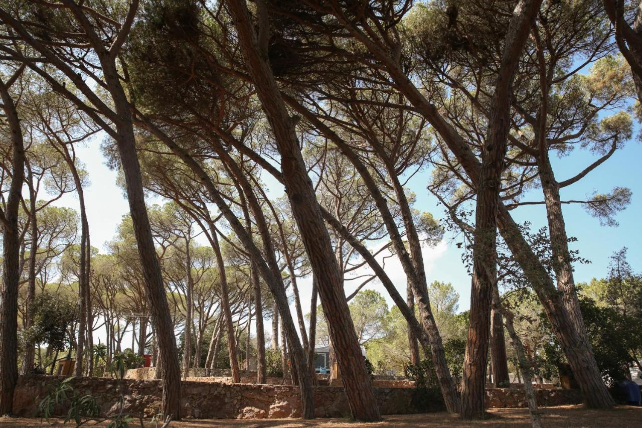 Camping 3 Estrellas Costa Brava Vall-Llobrega Eksteriør billede